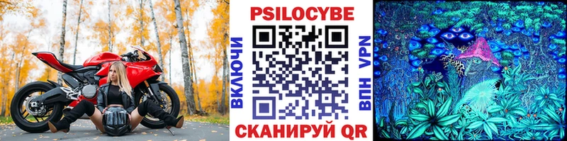 купить   Брянск  Псилоцибиновые грибы Cubensis 